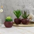 thumbnail image 3 of Plantas suculentas artificiales MyGift con macetas redondas de cerámica, 3 of 7