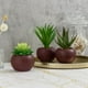 thumbnail image 3 of Plantas suculentas artificiales MyGift con macetas redondas de cerámica, 3 of 7