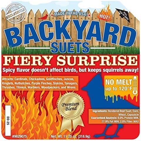 CountryMax Backyard Seeds No Melt Premium Suet Cakes 12 Pack for Wild Birds, Cardinals, Chickadees, Goldfinches (Fiery Surprise)