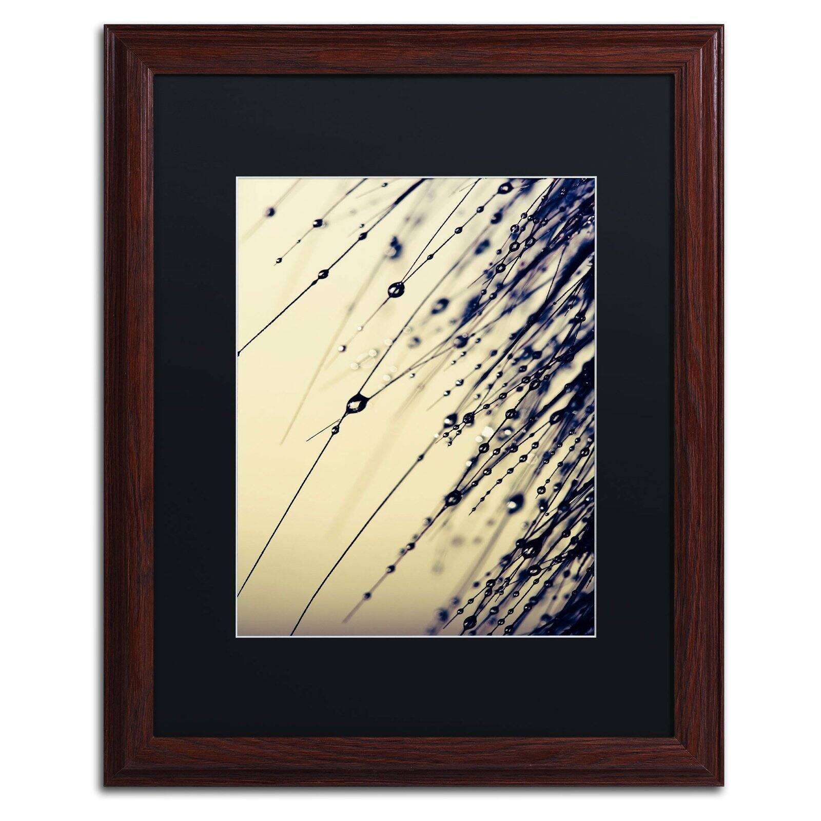 Trademark Fine Art "Music of Yesterday" Canvas Art by Beata Czyzowska Young, White Matte, Black Frame
