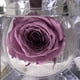 thumbnail image 4 of Mini rosa preservada Mina’an-flor eterna color Lilac en cajita de regalo, 4 of 4