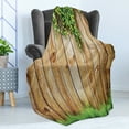 thumbnail image 4 of Rustic Soft Flannel Fleece Throw Blanket, Fresh Spring Season Grass and Leaf Plant over Old Wood Fence Garden Field Photo, Cozy Plush for Indoor and Outdoor Use, 50" x 70", Green Brown, by Ambesonne, 4 of 5
