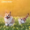 thumbnail image 5 of LOVITA Hip + Joint Supplement for Pets - Supports Mobility & Bone Health for Dogs & Cats - 60 Capsules, Chicken Flavor, 5 of 9