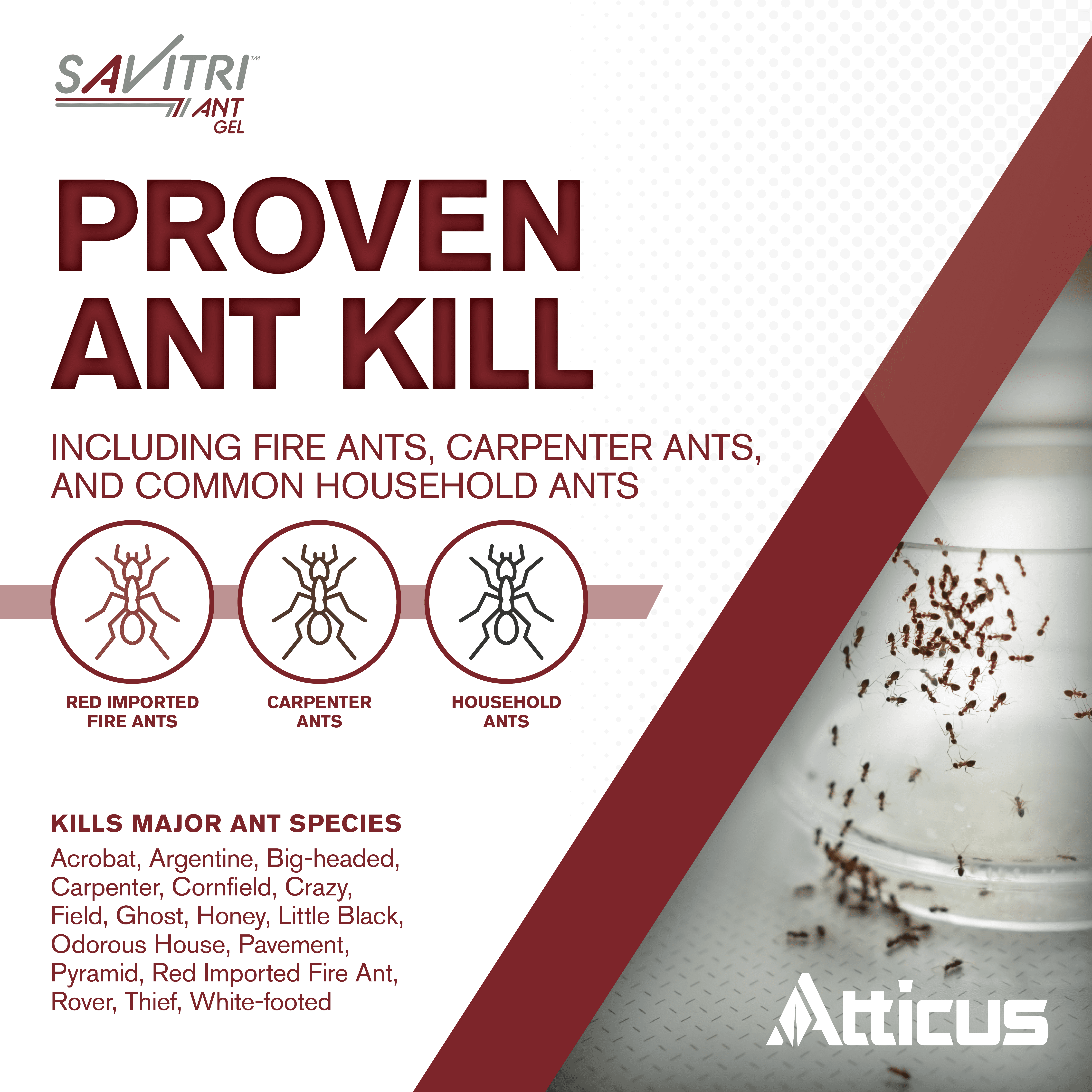 Savitri Ant Gel Bait (4 x 30 Grams) by Atticus (Equivalent to The Leading Brand) - Indoxacarb Ant Control for Indoor and Outdoor Use