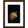 thumbnail image 2 of Leopard Panthera Pardus, Madikwe Game Reserve, South Africa, Africa, Animals Framed Art Print Wall Art by Ann and Steve Toon Sold by Art.Com, 2 of 6