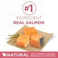 thumbnail image 4 of Purina ONE Plus Dry Dog Food Skin & Health Formula, High Protein Rich Natural Salmon, 31.1 lb Bag, 4 of 11