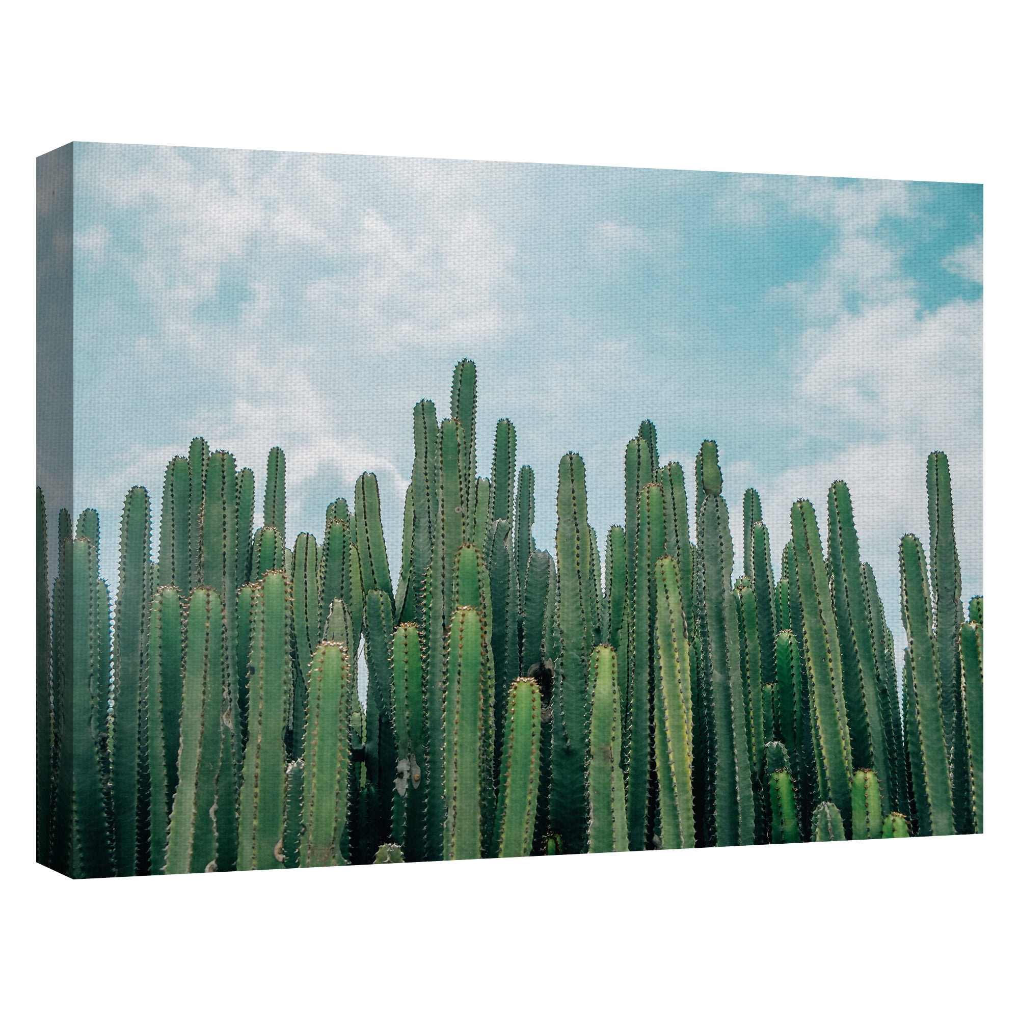 Masterpiece Art Gallery Cactus Greens Desert Sky By David Sola Canvas Art Print 30" x 40"