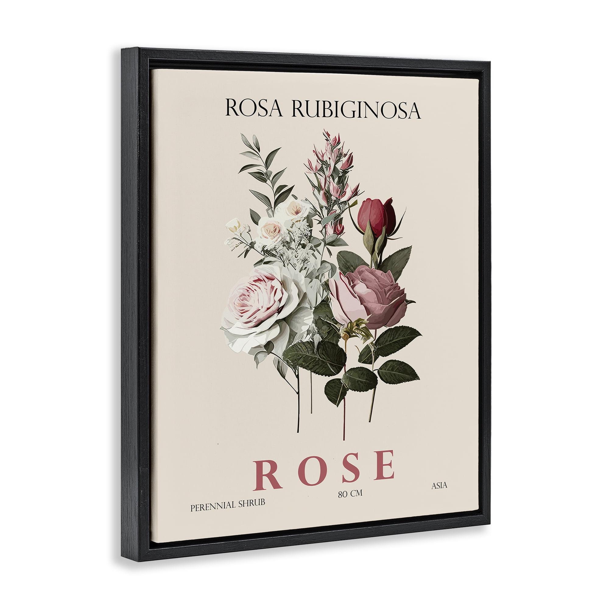 Stupell Industries Natural Rose Bundle Black Framed Floater Canvas Wall Art, design by Christopher Giampietro