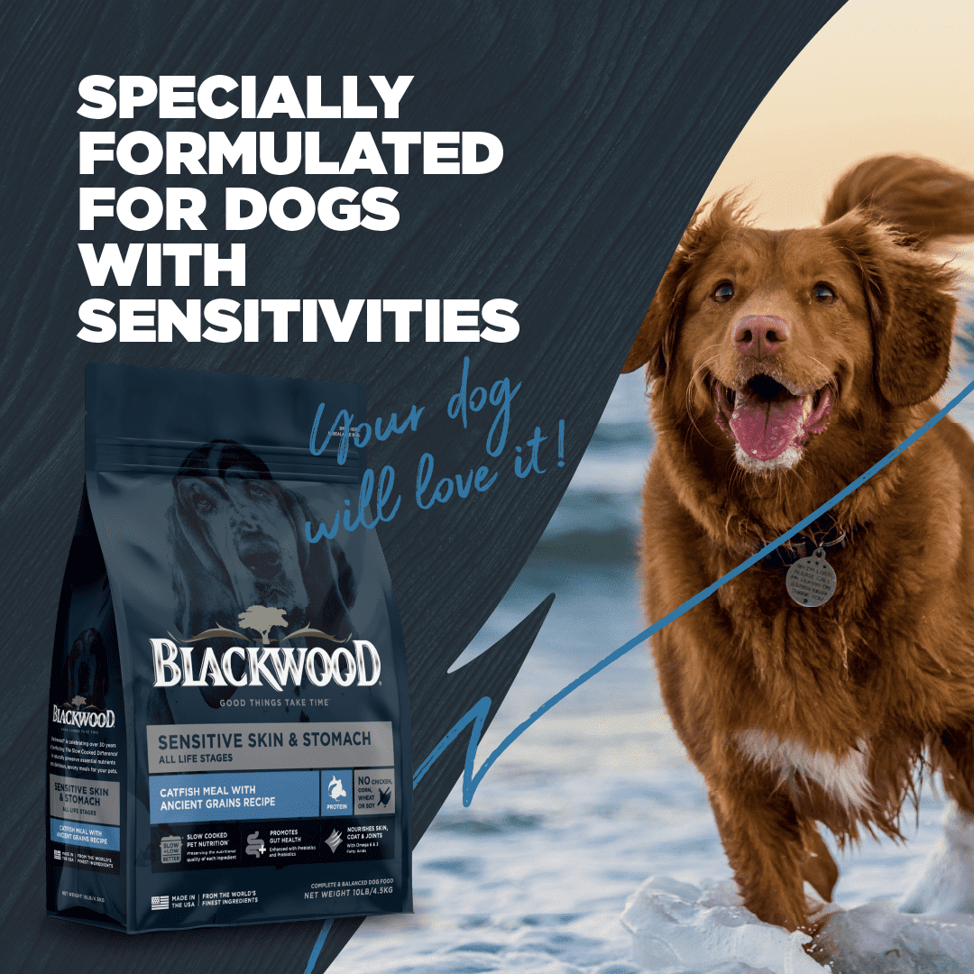 Blackwood Dry Dog Food for Sensitive Skin & Stomach, Catfish Meal with Ancient Grains, 24 lb