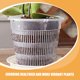 thumbnail image 2 of macetas transparentes para orquídeas con agujeros para plantas de interior y exterior, de plástico transpirable y con ranuras para jardinería., 2 of 5