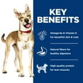 thumbnail image 5 of Hill's Science Diet Salmon & Barley Entree Wet Dog Food, 13oz Can 12pk, 5 of 8