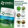 thumbnail image 2 of Owell Naturals Deep Penetrating Pain Relief Ointment, Maximum Strength, 3.5 oz, 2 Pack, 2 of 5
