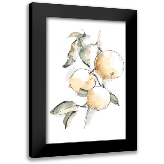 Harper, Ethan 11x14 Black Modern Framed Museum Art Print Titled - Watercolor Fruit Contour II
