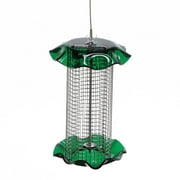 Birds Choice 1-Quart Sunflower Seed Forever Feeder with Stainless Steel Screen, Green