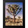thumbnail image 2 of Perry, Rachel 15x18 Black Modern Framed Museum Art Print Titled - Views of Joshua Tree IV, 2 of 5