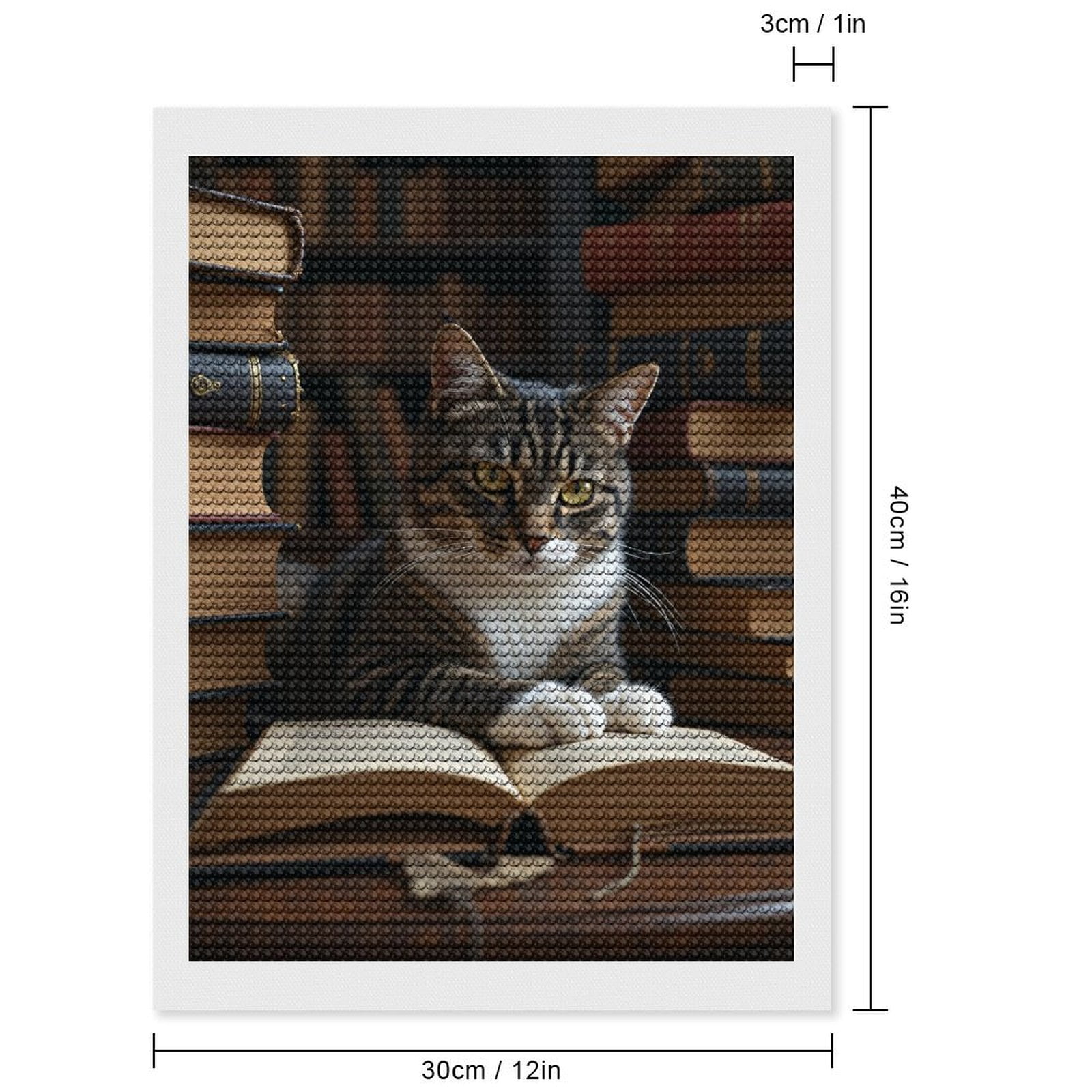 Diamond Art Kits for Adults, Cat Amongst Ancient Books Stack 5D Diamond Painting Kits for Adults Beginners, DIY Full Drill Diamond Painting, Gem Art and Crafts 12x16