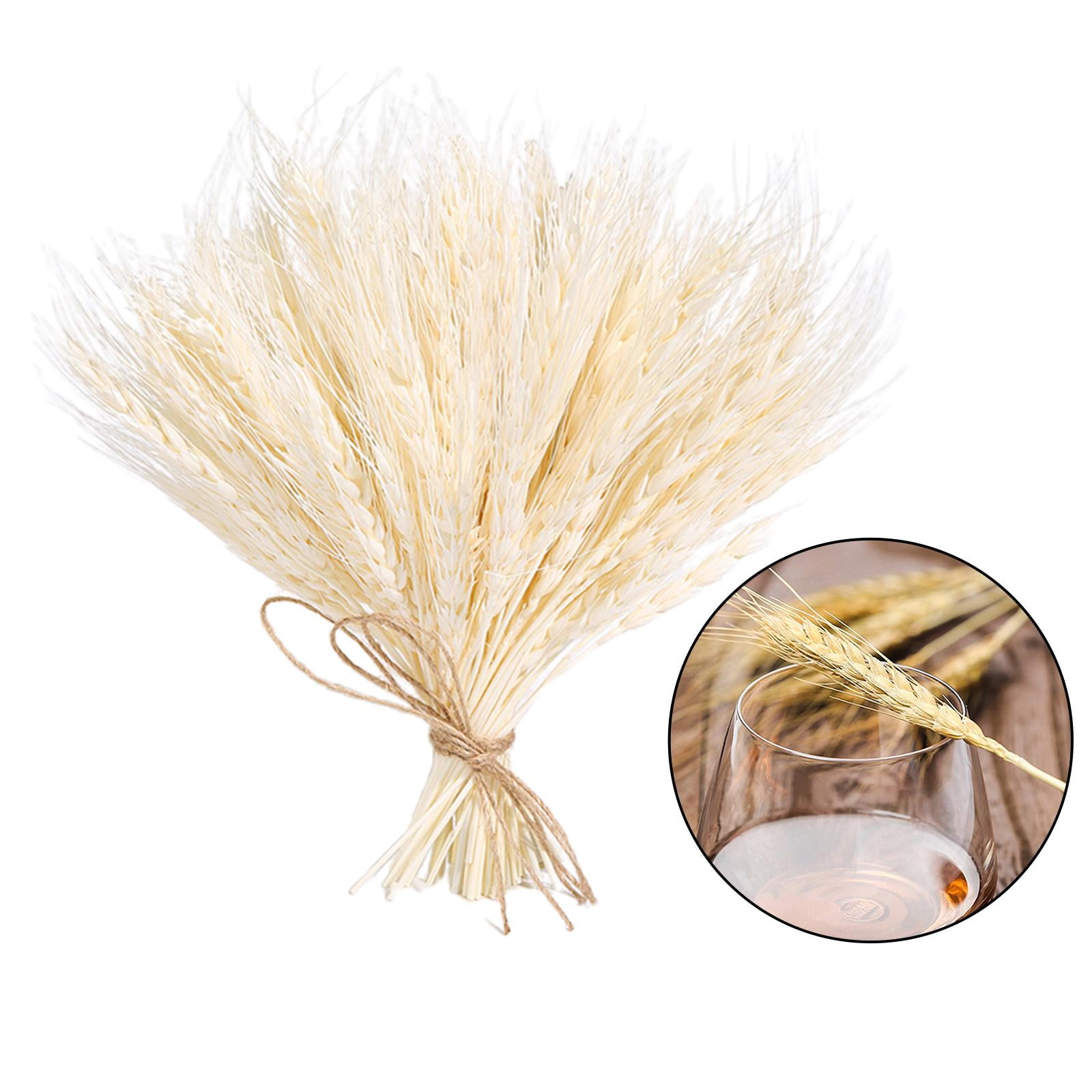 100 Stems Dried Wheat Stalks, Natural Dried Wheat Sheaves Fall Flower