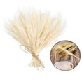 thumbnail image 3 of Ramo de trigo seco con tallos de trigo secos para decorar mesas. Beige, 3 of 9