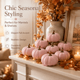 thumbnail image 5 of Simulated Foam Pumpkin Prop with Golden Handle, Colorful Fake Vegetable Ornament, Summer Fall Harvest Decor for Halloween, Tabletop, Shelf, Wreath Making and Farmhouse Home Decoration, Pink, 5 of 8
