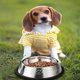 thumbnail image 4 of Cuencos para perros de acero inoxidable, tazones de alimentación, tazones para platos para perros con base de goma, tazones de agua para mascotas MFZFUKR CPB-DE-SSW2040-4, 4 of 5