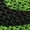 VOLT/BLACK-SEQUOIA, variant on NIKE MENS Flyknit Racer 526628 731 from Stadium Goods