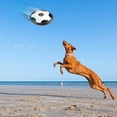 thumbnail image 4 of Hearth & Gear Floating LED Sound Pet Toy – For With Dogs On The & Family With Kids Keys for Dogs Things for The Kitchen Game 1 Year Games Girl 4 Years Female Keyboard 32 Keys Middle School Male Or, 4 of 7