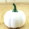 thumbnail image 5 of 16PCS Harvest White Artificial Small Pumpkins Simulation Vegetables for Halloween Thanksgiving Home Kitchen Outdoor Embellishing, 5 of 5