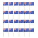 thumbnail image 1 of 100pcs Flag Toothpicks Flags Cupcake Toppers Cake Topper Decorations Party Supplies, 1 of 2