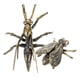 thumbnail image 1 of QUMIIRITY 2Ud Escultura De Abeja De Cobre Para En Hogar Y Oficina, 1 of 5