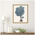 thumbnail image 5 of Amanti Art Indigo Reef IV Framed Canvas Wall Art Print, 5 of 7