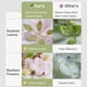 thumbnail image 5 of Flores artificiales ZINHO Wisteria para colgar, 60 ramas, color rosa, 5 of 6