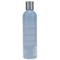 thumbnail image 5 of ABBA Moisture Shampoo 8 oz, 5 of 8