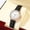 A, variant on Leather Watch Minimalist Gift Women's Sleek Quartz Dial Fashion With Strap Watch Women's Watch Women's Wrist Watches Leather Watch Band Women Mens Watch Face Watched for Women on Watches for