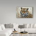 thumbnail image 3 of Trademark Fine Art 'Tiger' Canvas Art by Jeff Tift, 3 of 3