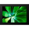 thumbnail image 2 of Nawrocke, Bruce 18x13 Black Modern Framed Museum Art Print Titled - Green Intrigue, 2 of 5