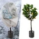 thumbnail image 1 of Fiudx Ofertas de la semana Bolsa protectora cálida para árboles, arbustos y plantas, protección contra heladas, jardín, patio, invierno, 1 of 7