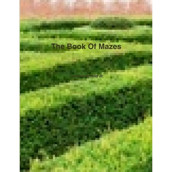 The Book Of Mazes, (Paperback)
