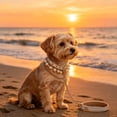 thumbnail image 4 of Strong Cord Dog Leash Heavy Duty Walking Training Lead Anti Pull Durable Control Grip Lightweight Easy Clean Outdoor Walking Leash for Small Medium Dogs Cats Daily Training Walks, 4 of 6
