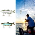 thumbnail image 2 of Señuelo de pesca de PVC realista de 30 cm / 11,8 pulgadas Cebo blando, 2 of 7