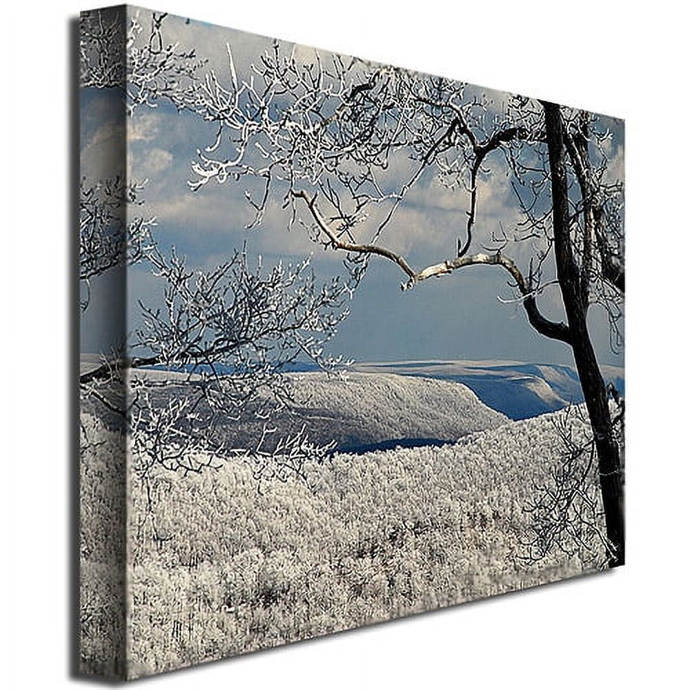 Trademark Fine Art "Winter Scene" Canvas Art by Lois Bryan
