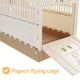 thumbnail image 5 of Jaula plegable para palomas, jaula de plástico para domesticación de palomas, jaula para pájaros de transporte, 5 of 8
