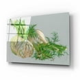 thumbnail image 2 of Epic Art 'Fennel' by Barbara Keith, Acrylic Glass Wall Art, 16"x12", 2 of 8