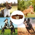 thumbnail image 5 of Collar de perro de pajarita, collar de perro de terciopelo con cierre de metal de pajarita desmontable MFZFUKR CPB-US-YY737-1, 5 of 5