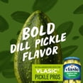 thumbnail image 3 of BIGS Sunflower Seeds, Vlasic Dill Pickle Flavor, 5.35 oz., 3 of 9