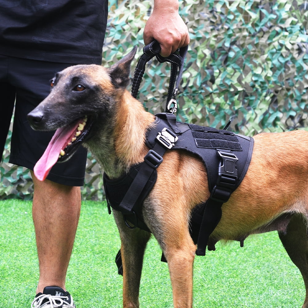 Dog Harness,Medium Size,2X Metal Buckle,Working Dog with Velcro your tag easily and Vest with Handle,No Pulling Front Leash Clip,Hook and Loop Panel Adjustable Elastic Wearing Quickly