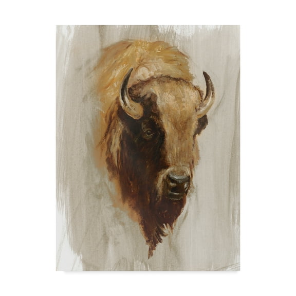 Trademark Fine Art 'Western American Animal Study III' Canvas Art by Ethan Harper