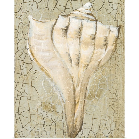 Great BIG Canvas | Rolled Poster Print entitled Seashell II