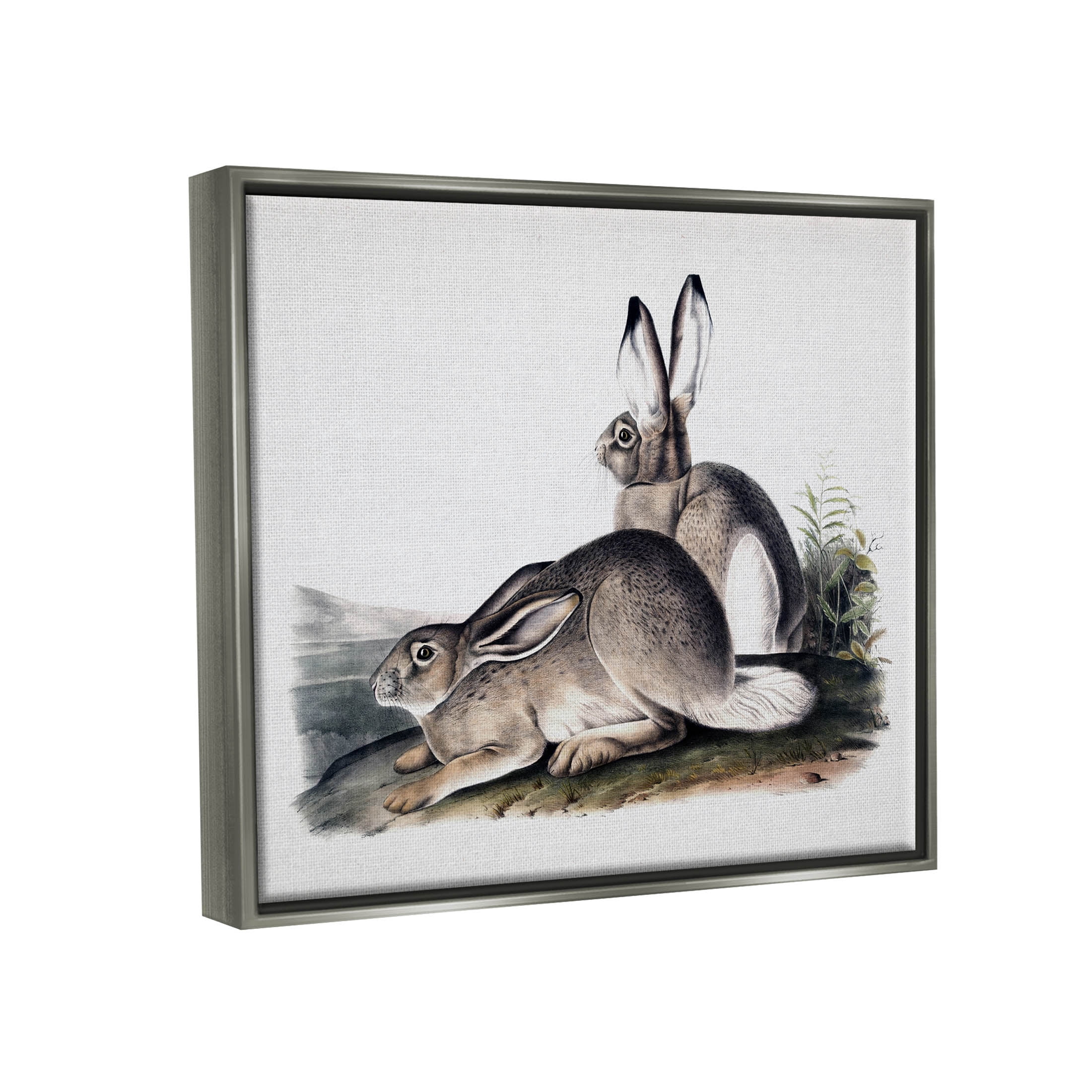 Rabbit Duo Gazing Animals Animals & Insects Painting Luster Gray Framed Art Print Wall Art