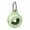 Clear Green, variant on LEIPUMART Transparent Hard PC AirTag Holder with Spring Key Ring, Twist Lock Waterproof Shockproof Tracker Case, Portable Travel Accessory for Keys, Luggage, Pet Collars & Backpacks
