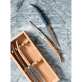 thumbnail image 3 of ZWILLING Toro 4-pc Steak Knife Set, 3 of 3
